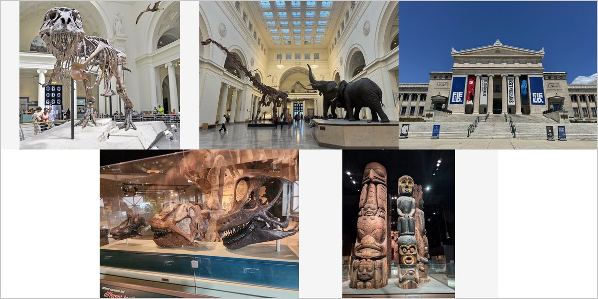 The Field Museum: Four Ways Out of the Big-Room Problem