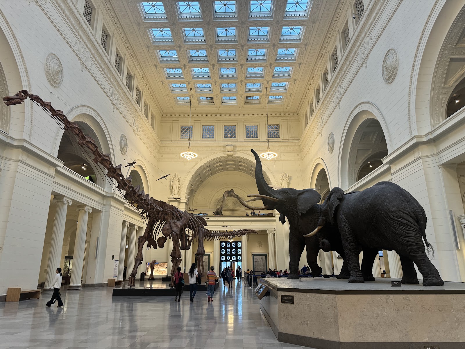 Defined shaft of daylight falling into a vast top-lit museum hall