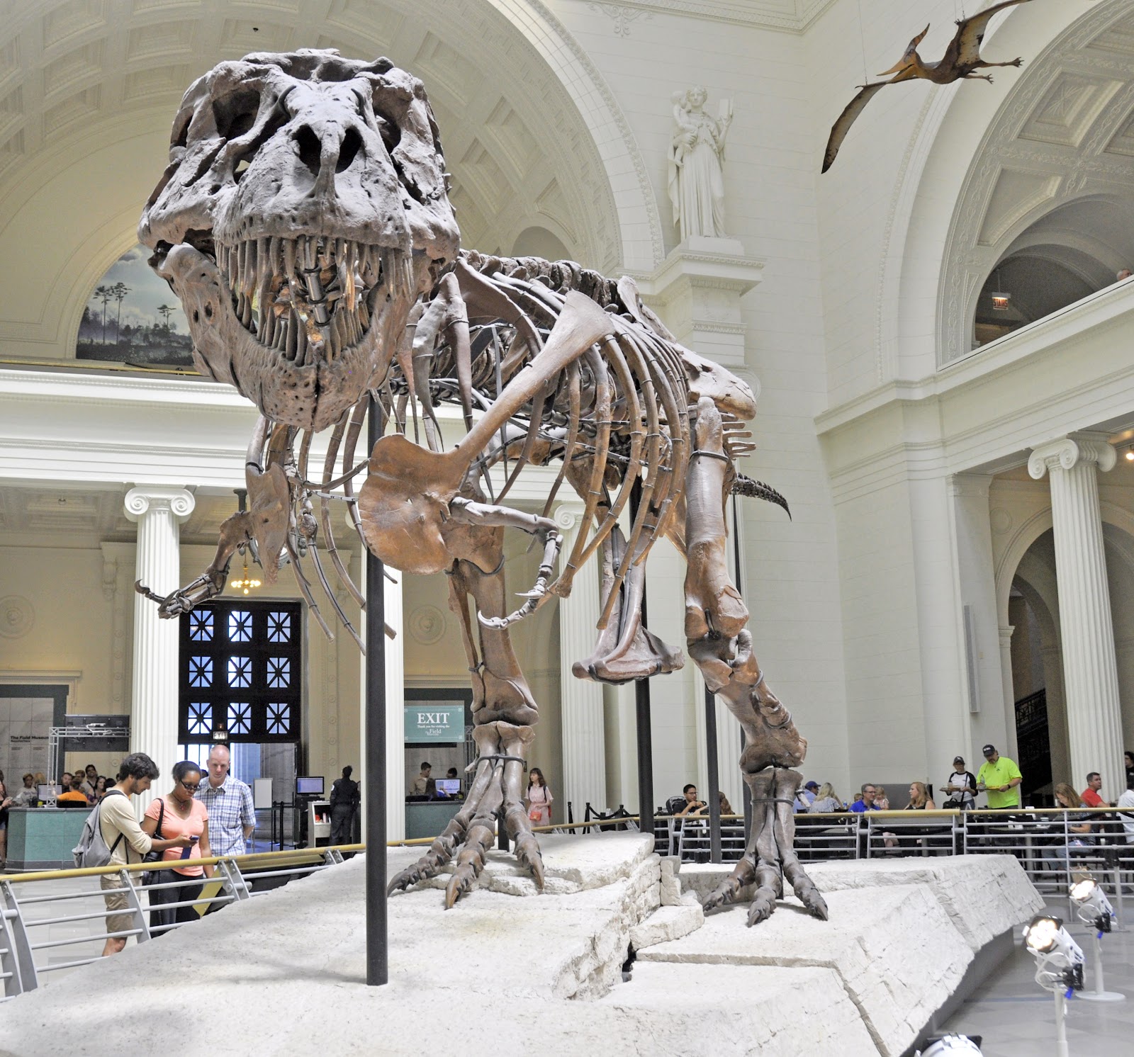Vast stone central hall at the Field Museum with figures small at its foot