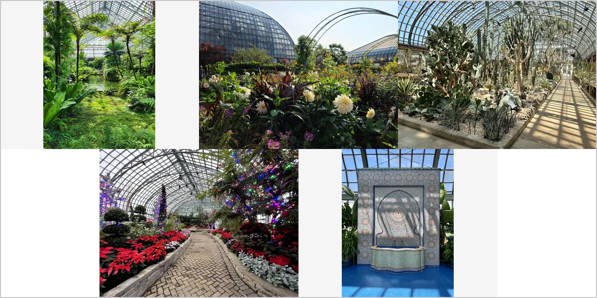 Garfield Park Conservatory: Field Notes on Photographing Under Glass