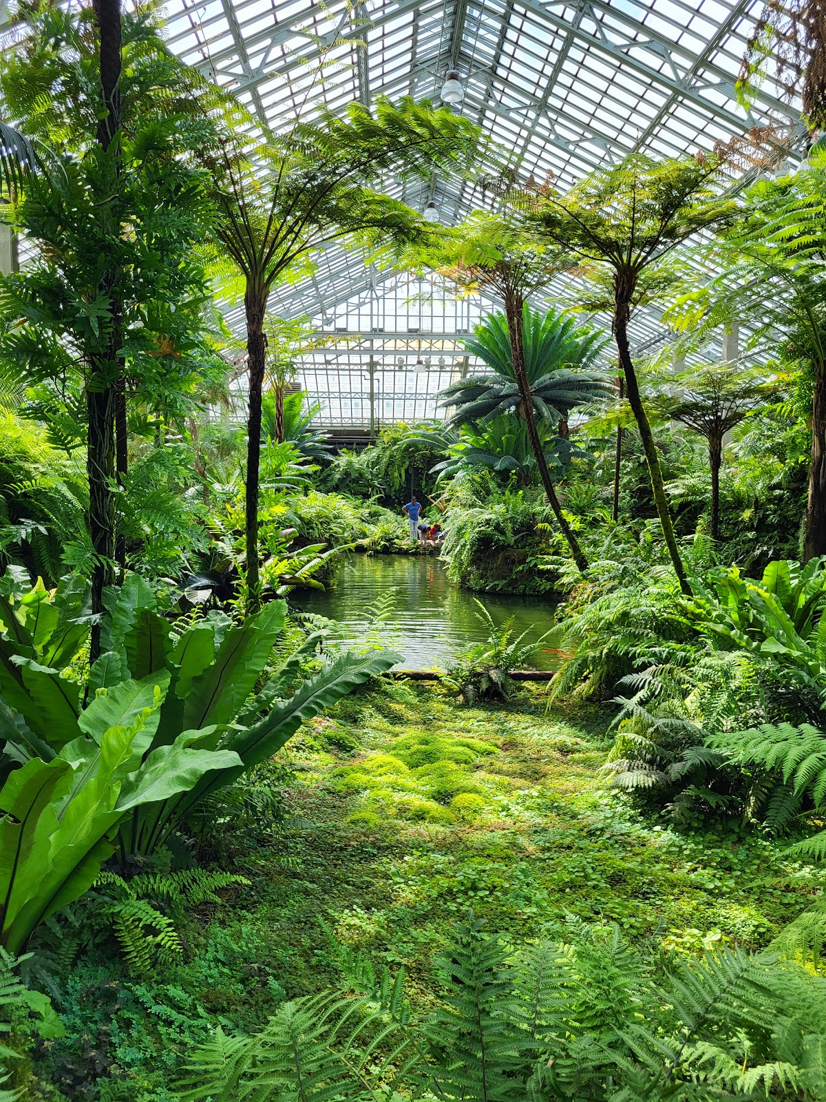 Broad glass roof diffusing daylight into a large planted conservatory hall
