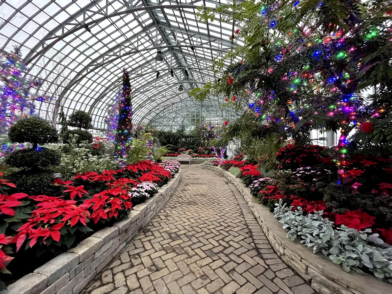 Narrow path between planting beds in a Chicago conservatory