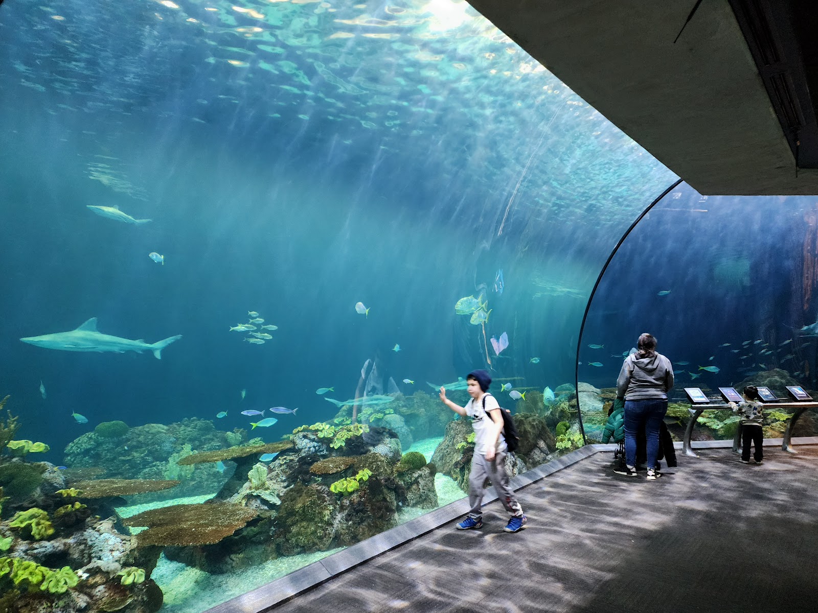 Oceanarium windows looking out across Lake Michigan from the Shedd Aquarium